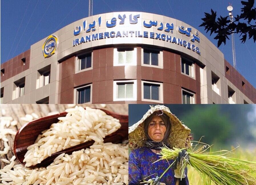 گشایش انبار و نماد معاملاتی برنج طارم در بورس کالا از فردا